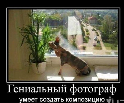 Куда направиться?